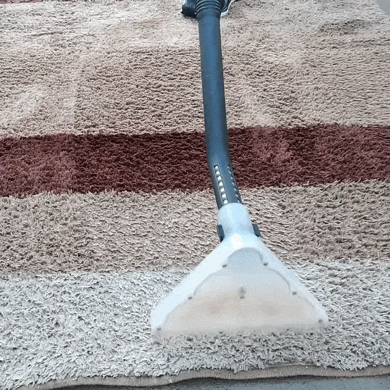 Higienização de Tapetes